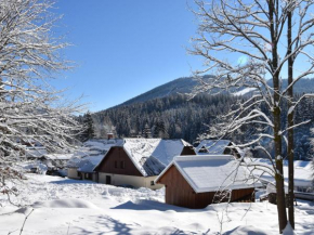 Chalet Anenské údolí by Interhome